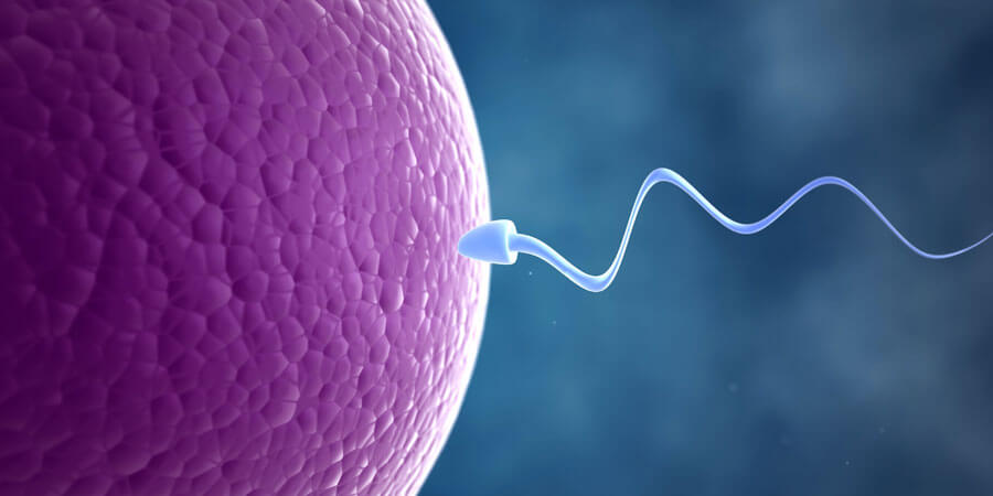 Infertility Treatment